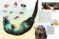 Preview: Entdecke die Otter